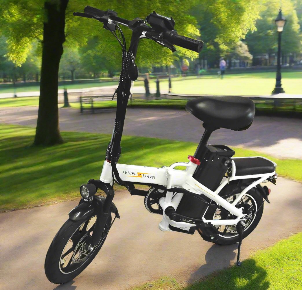 14" Substitute Driving - e-bike Future Travel