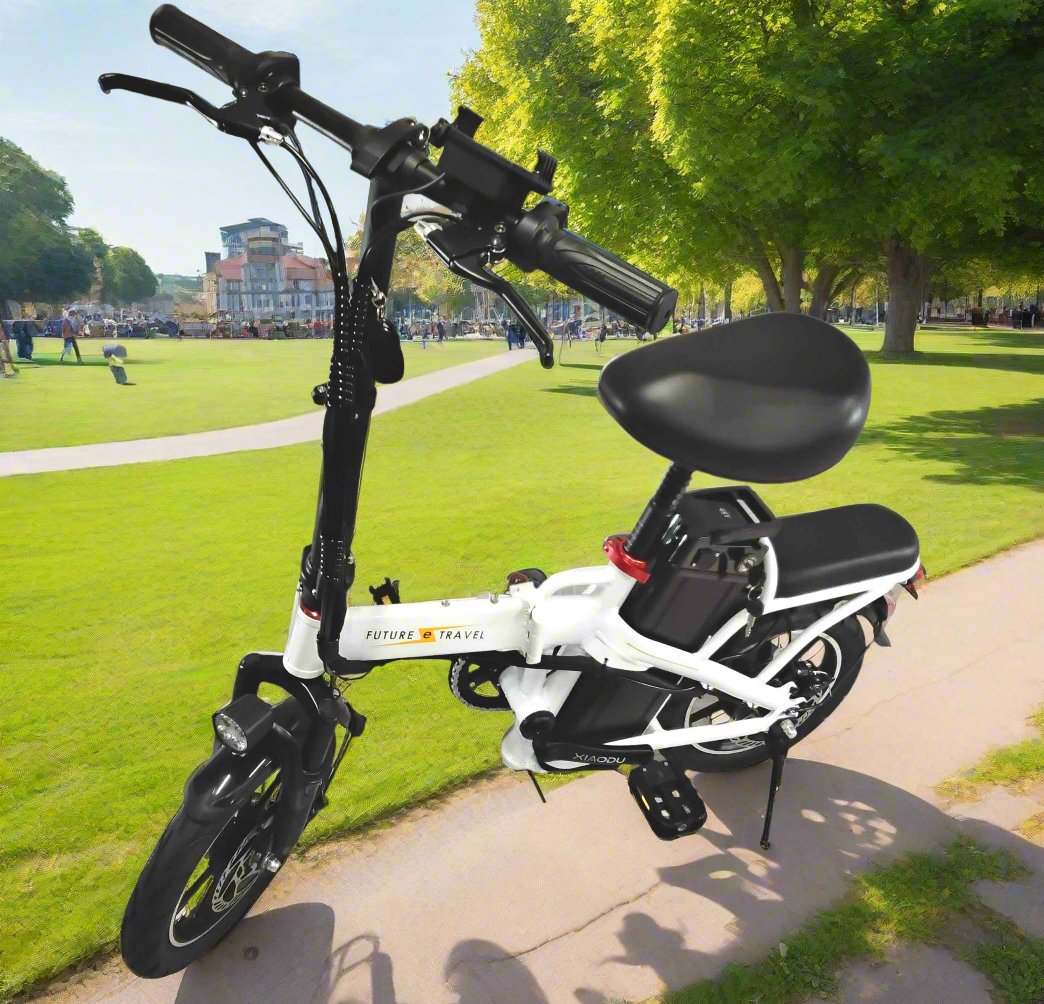 14" Substitute Driving - e-bike Future Travel