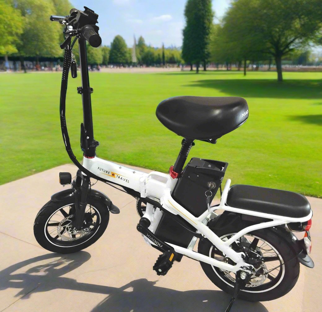 14" Substitute Driving - e-bike Future Travel
