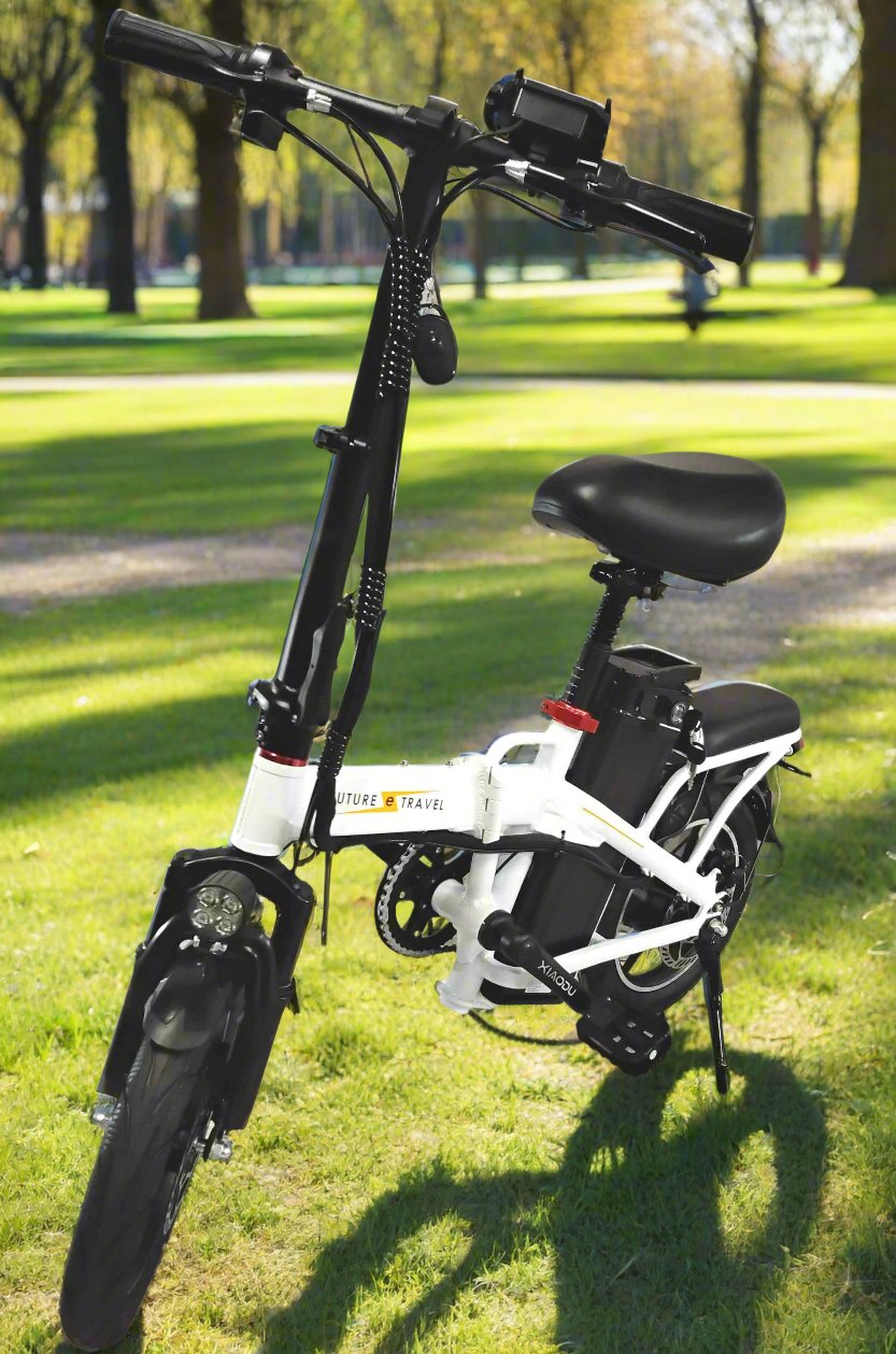 14" Substitute Driving - e-bike Future Travel