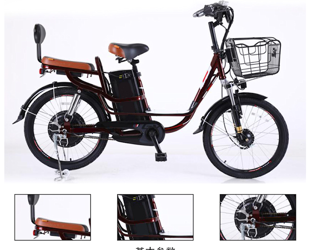 22*2.1 Princess Yachi e-bike Future Travel