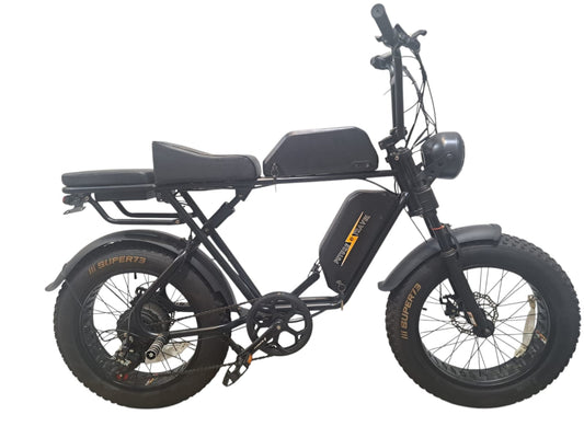 20*4" BENCH e-bike Future Travel Yuppy Y2