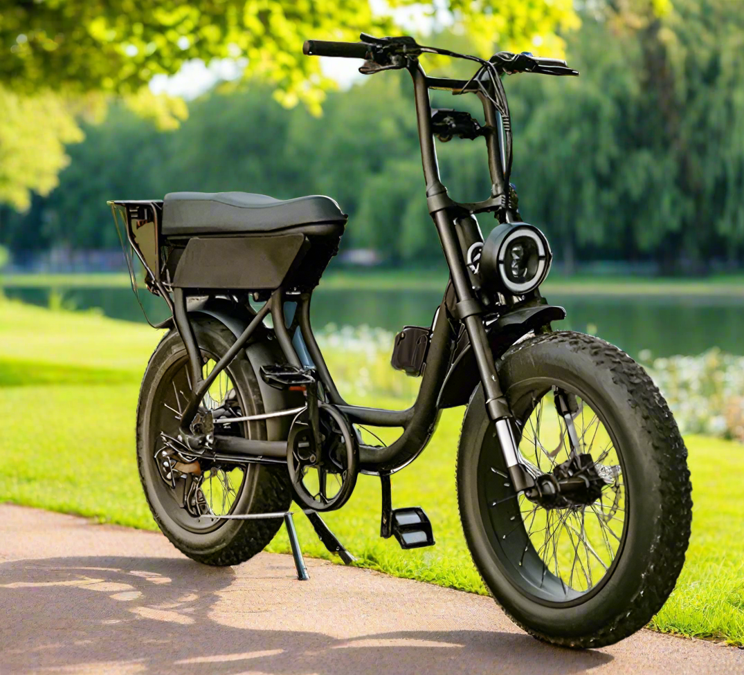 20*4 stepthru ebike ATV07 All Terrain Future Travel