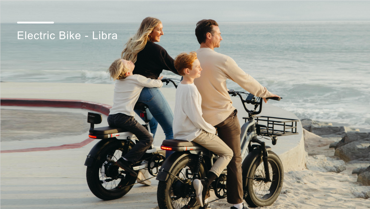 20*4" Stepthru Cargo - e-Bike Fucare LIBRA