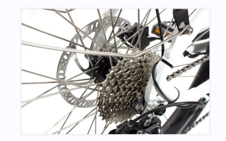 Jobo JB-TDF45L Gears – Gear system for precise shifting.