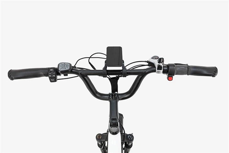 20x3 Mobility e-trike Rear-drive Step-thru by JOBO