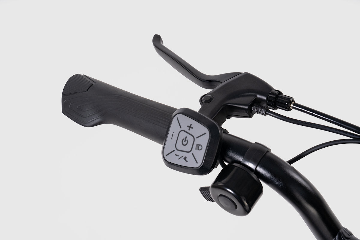 20*4" Stepthru Cargo - e-Bike Fucare LIBRA