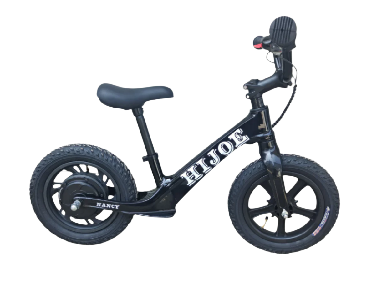 Nancy electric bike front view – Classic design with a convenient front basket.