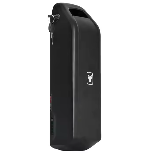 FUCARE Battery 48V 20Ah