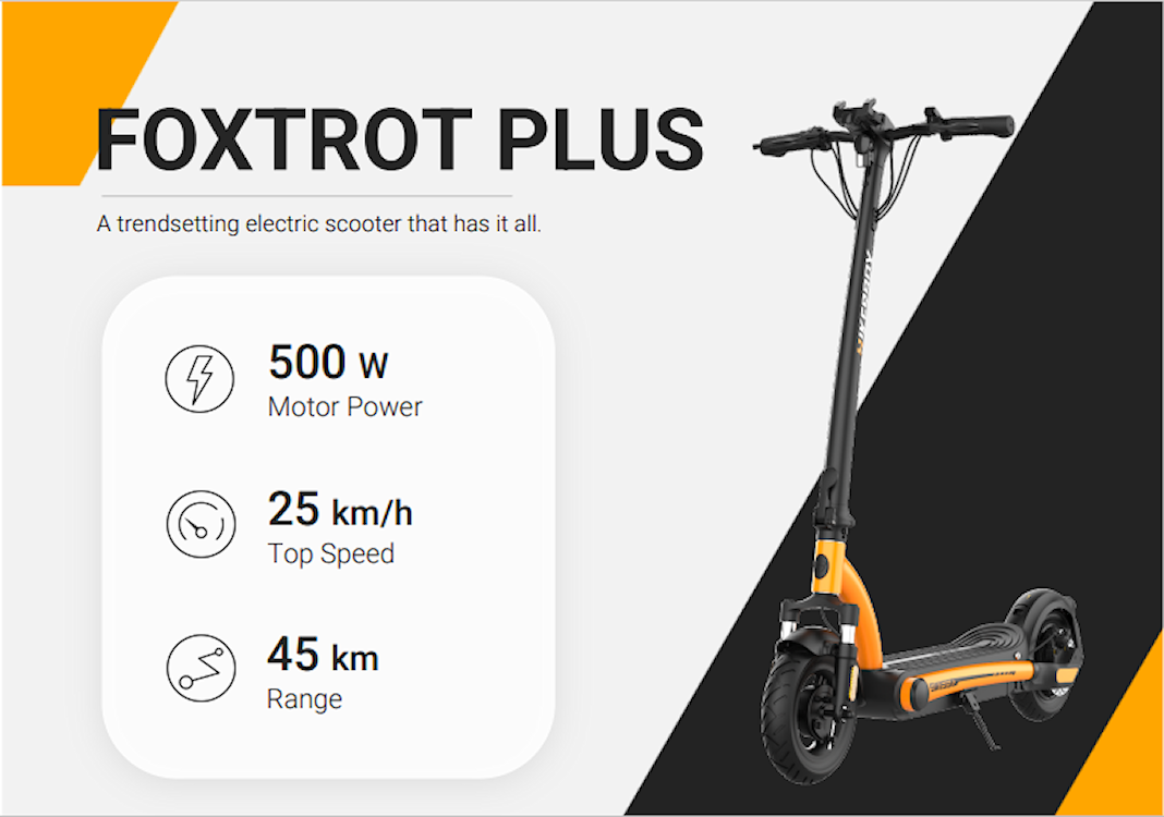10" 500W 48V10Ah e-scoot Hikerboy Foxtrot+