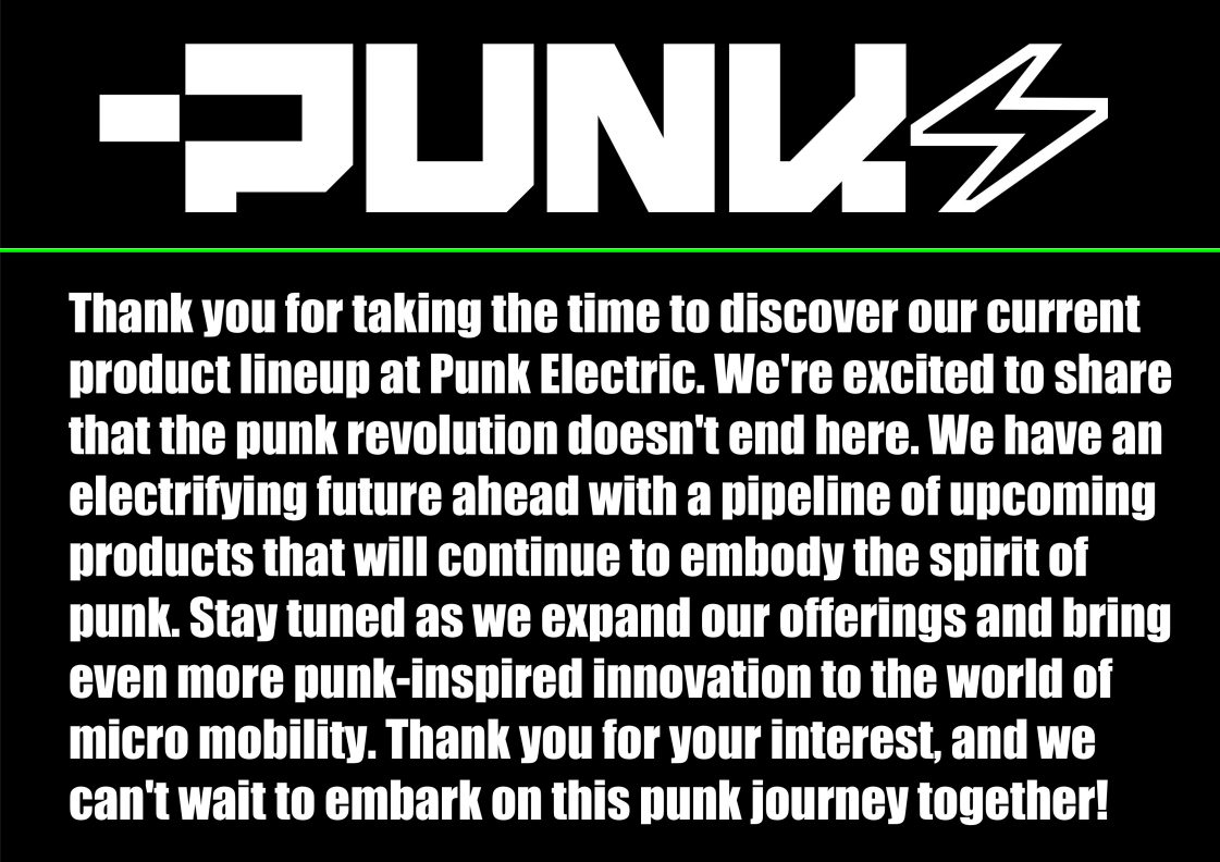 Punk Rider frame details – Sleek frame built for durability and performance.