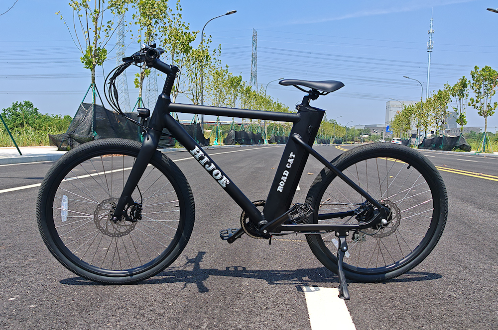 Road Cat 01 Electric Bike – Sleek design for fast and efficient commuting.