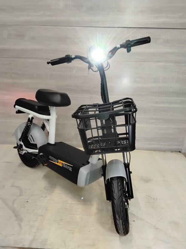 14" Sweet Bean cheap e-bike Future Travel