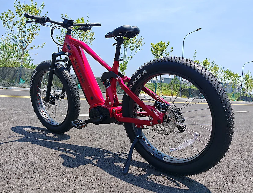 Wild Cat 06 – Rugged electric bike built for adventure and off-road terrain.