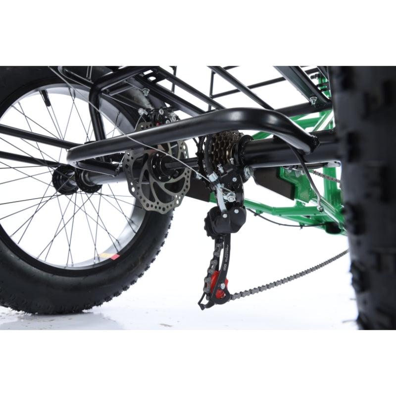 20*4" Step-thru FWD Mobility e-Trike A-OK