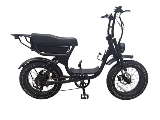 20*4 stepthru ebike ATV13 All Terrain Future Travel