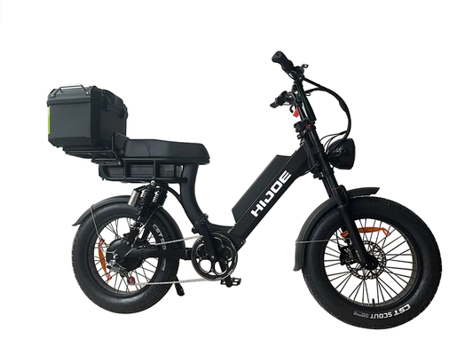 20*4 BLACK CAT e-bike Dual Everything! HIJOE