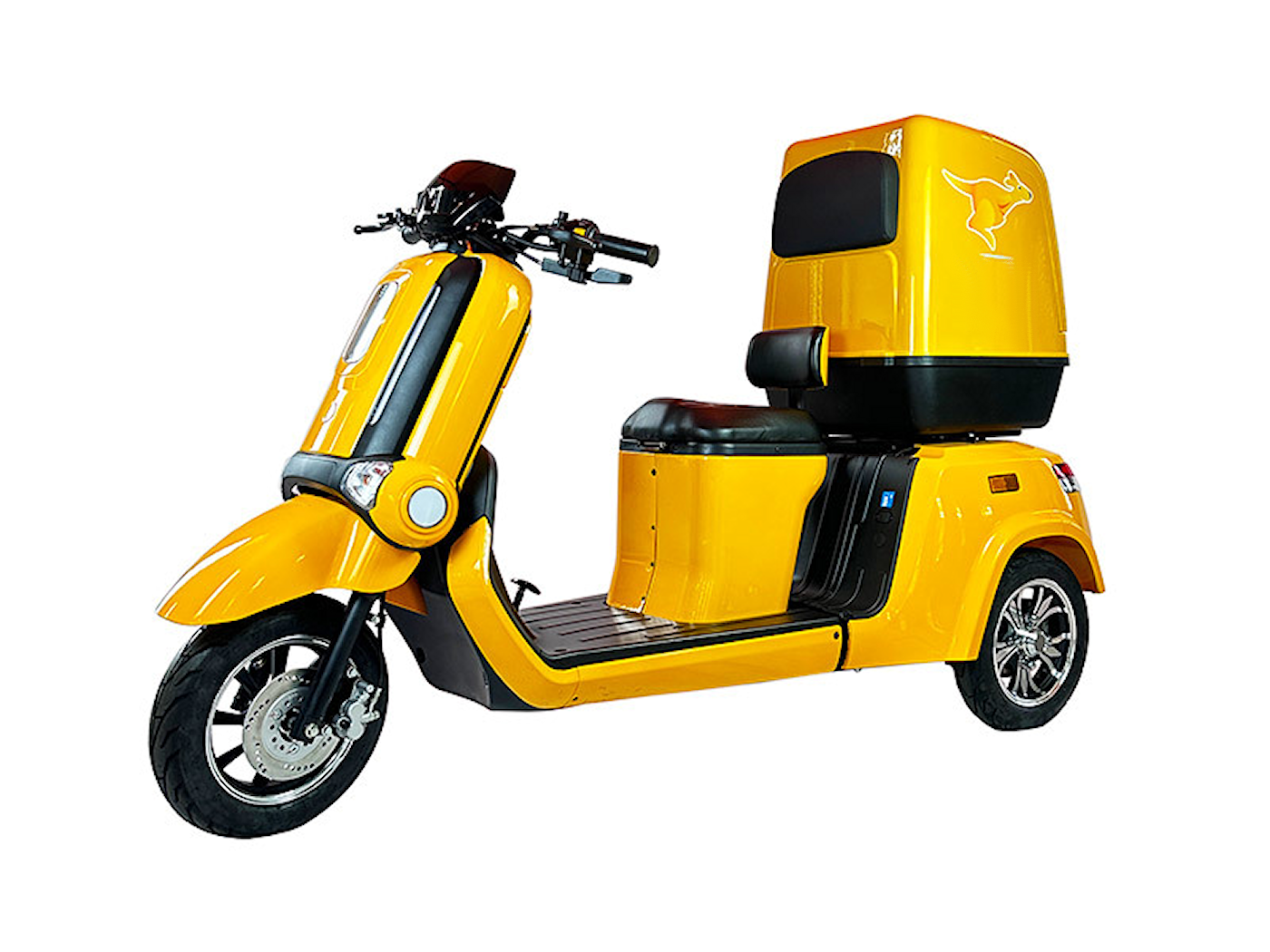 Cargo e-Trike Large Capacity e-Bike EBS