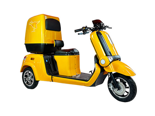 Cargo e-Trike Large Capacity e-Bike EBS