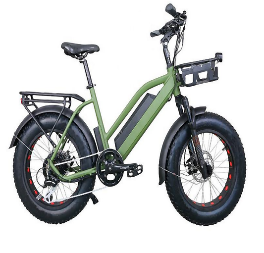 A-OK ML-TDN08Z 20*4" FAT TYRE BMX CRUISER STEP THROUGH E-Bike