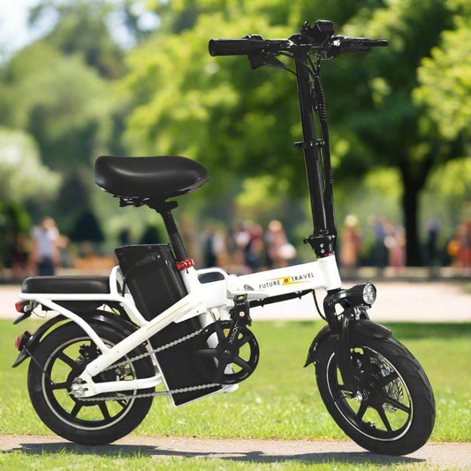 14" Substitute Driving - e-bike Future Travel