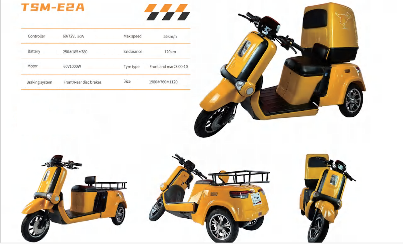 TESMA TSM-E2A ARTICULATING CARGO E-BIKE