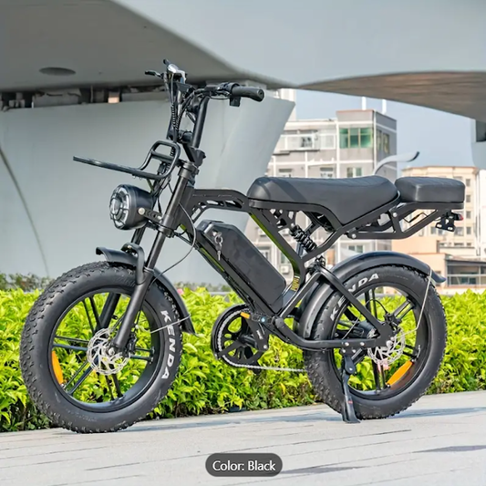 EBS BLACK STALLION ZHENXI V20 PRO BMX MOTO MOPED 20*4 E-Bike