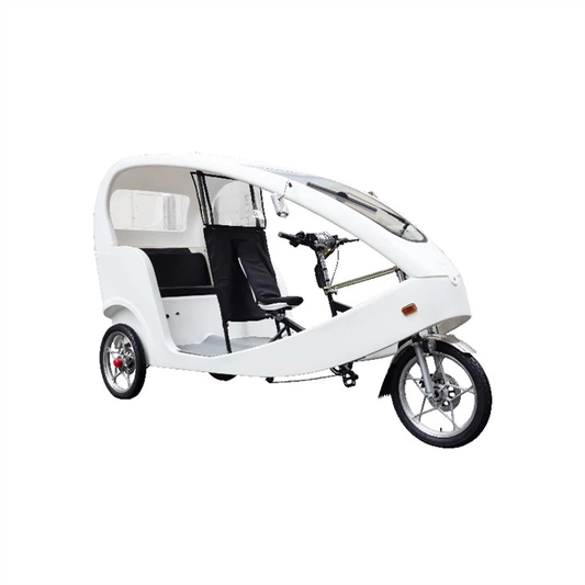JOBO E-BIKE Family Taxi Trike e-bike