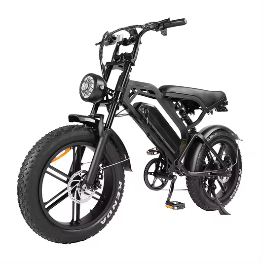 EBS BLACK STALLION Zhenxi V20 BMX 20*4 E-Bike