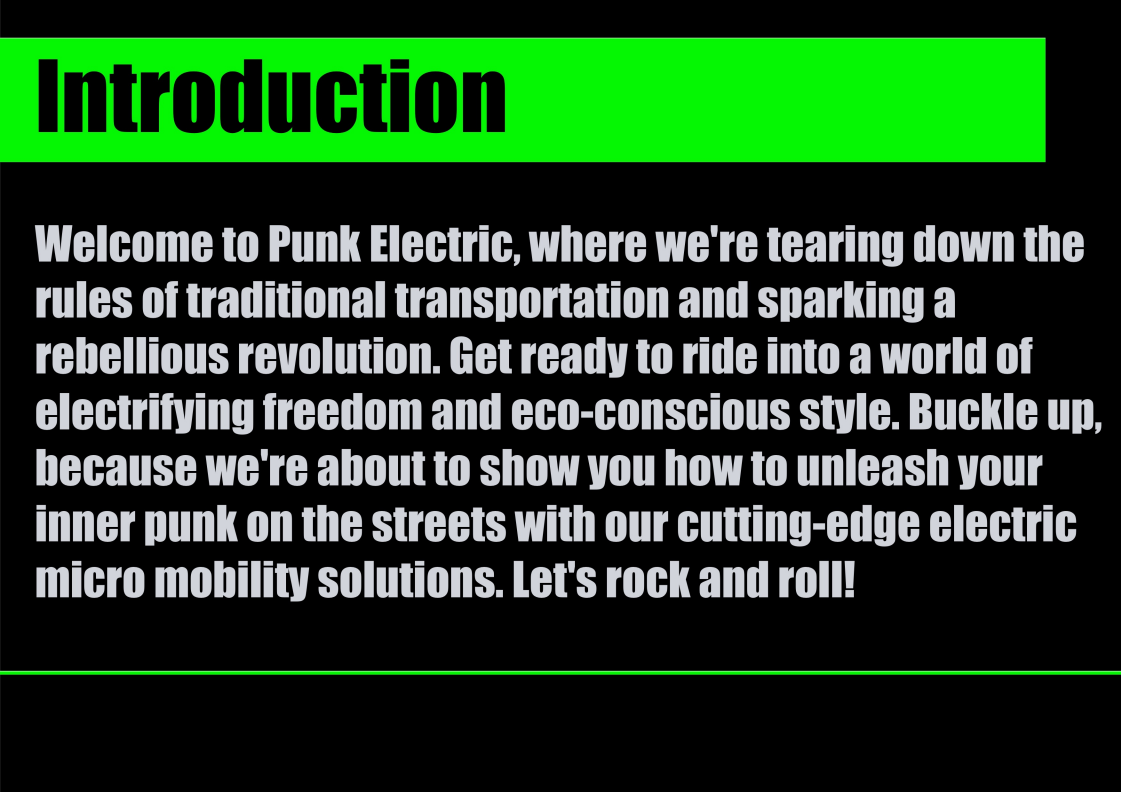 PUNK Rider Eco e-scooter