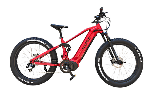 26*4 Super MTB e-Bike WILD CAT HIJOE